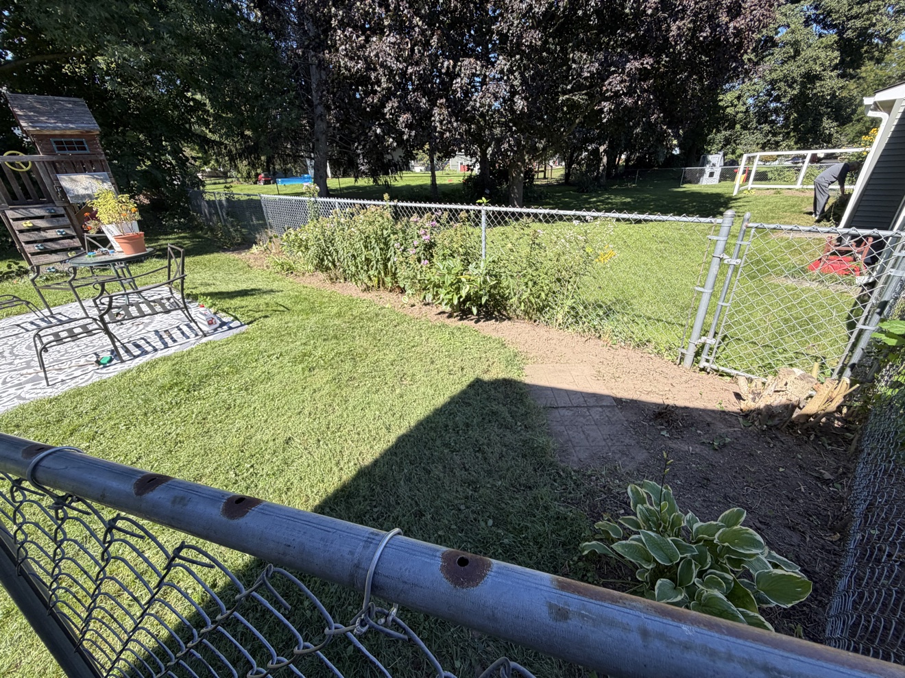Same fence line after cleanup — weeds cleared and the edge cut clean