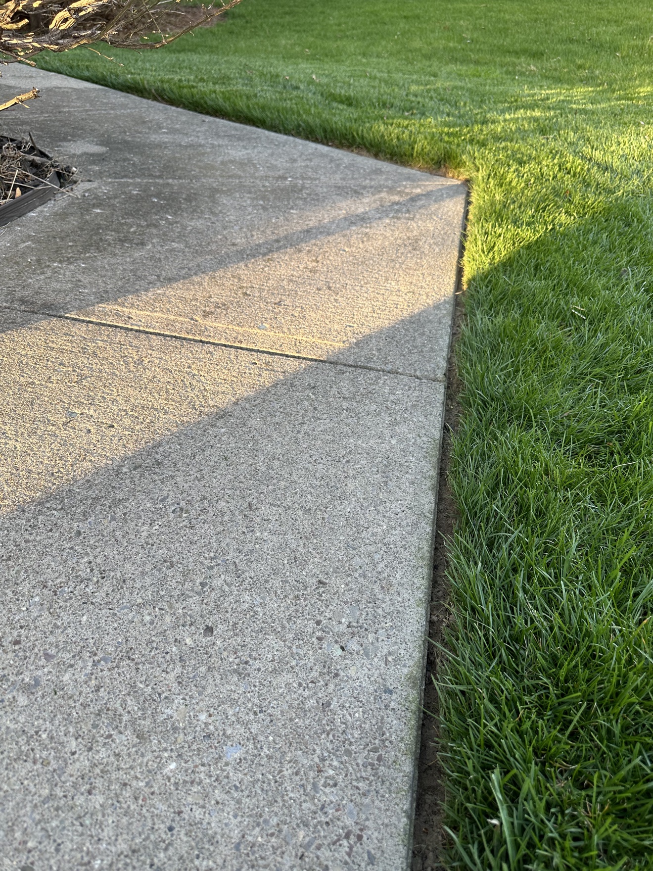 Concrete sidewalk with a crisp, clean edge cut where the pavement meets the lawn